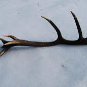 V celej svojej kráse 3,35kg