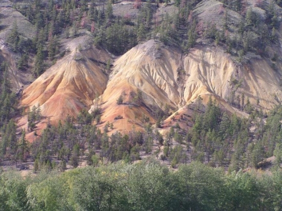 Kanada i jinak
