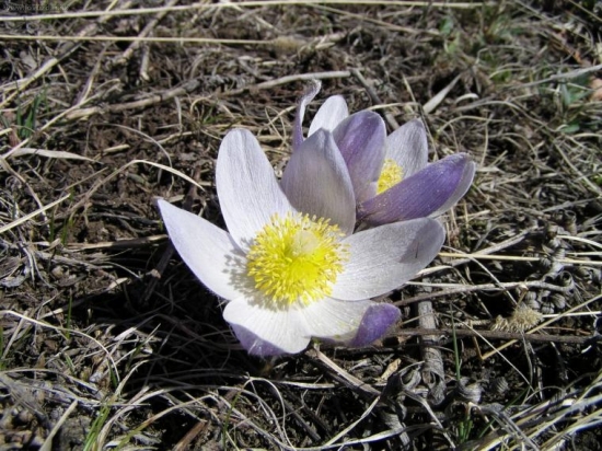 Jen pro tebe...Tony...