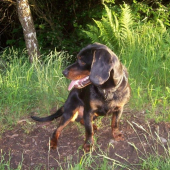 Po večerní procházce v záři zapadajícího slunce