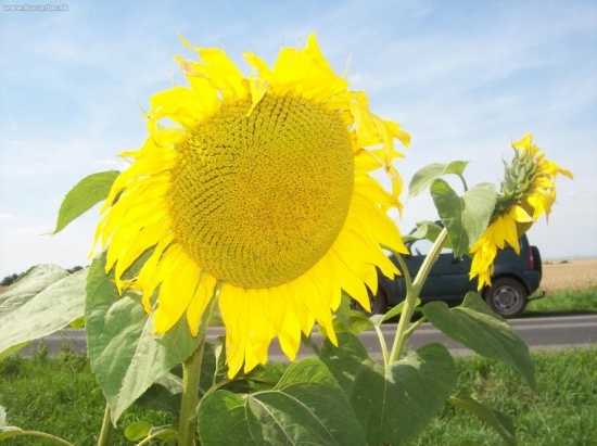 dnes se na mne slunéčko usmálo