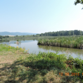 Borecký rybník