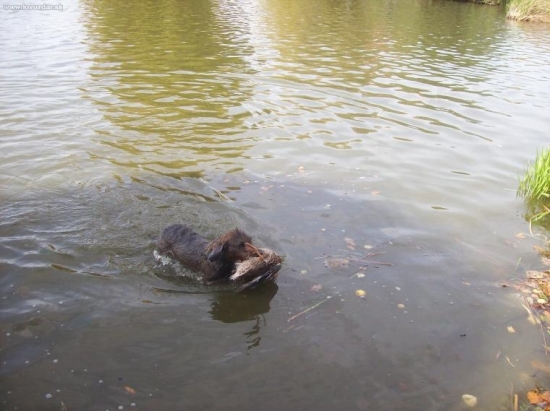 JEŠTĚ RAZ,,,TO NEMÁ CHYBU