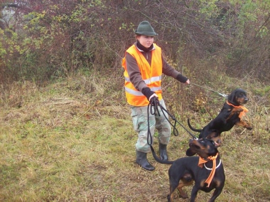 táto jak to mám zvládnout