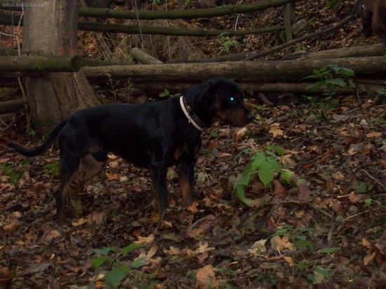 na večerní procházce