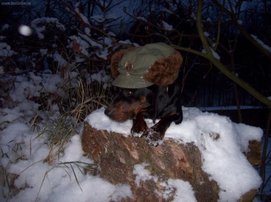 odznak aj nosí Tomík