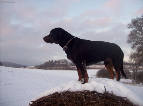 NA PROCHÁZCE,,,TOMI