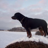 NA PROCHÁZCE,,,TOMI