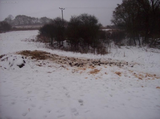 je dobře se starat o zvěř