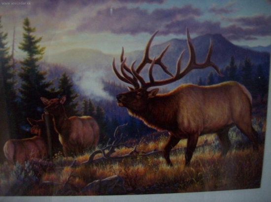 vzpomínka na Kanadu