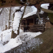 Tony už nám vyrost,,,