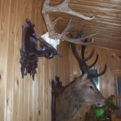 ještě jednou z boku