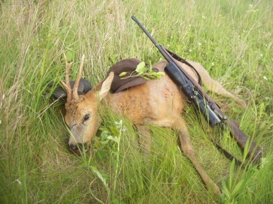 V NEDĚLU A DĚKUJI ZA KRÁSNÝ ZÁŽITOK