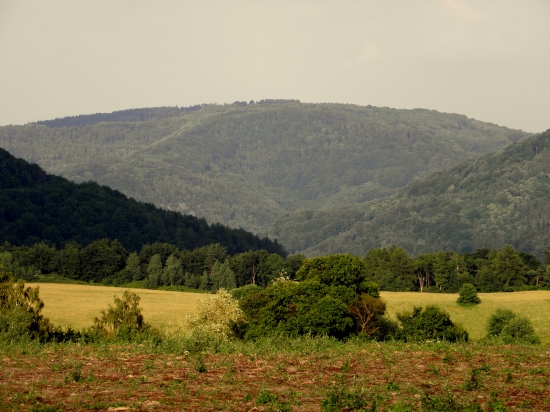 muj kraj
