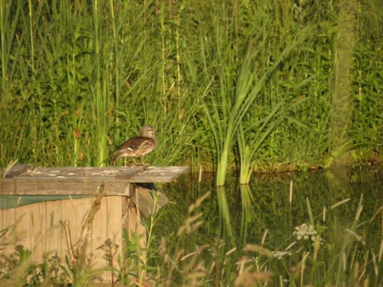tak jsem se konečně dočkal