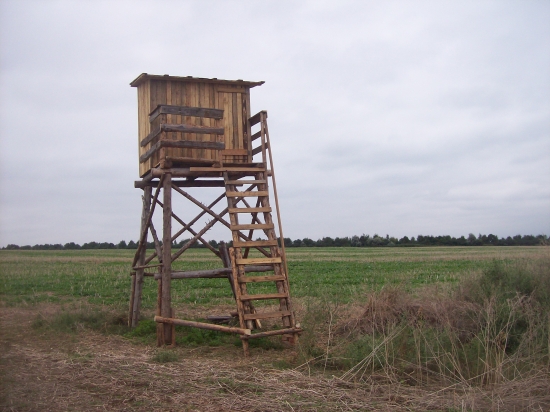 tak už osmá  a nebo devátá