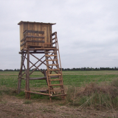 tak už osmá  a nebo devátá