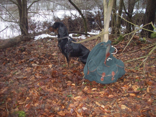 poslušně čekám na pánička