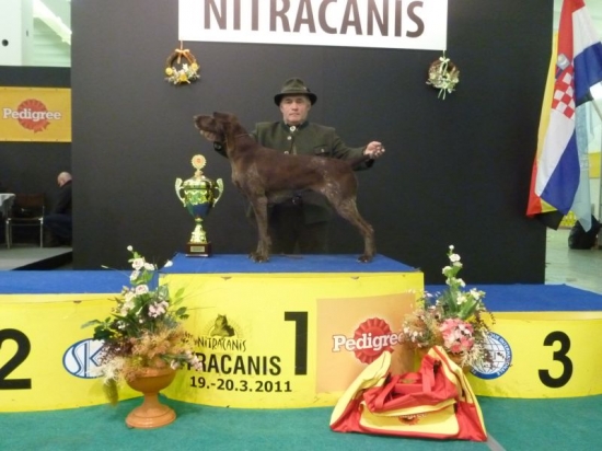 Viki z Potôňskej Lúky V1 CAC, BOB.BOG.BOD