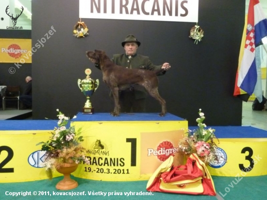 Viki z Potôňskej Lúky V1 CAC, BOB.BOG.BOD