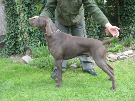 Bakk z Potôňskej Lúky