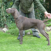 Bakk z Potôňskej Lúky