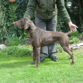 Borka z Potôňskej Lúky