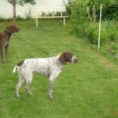 Unda z Potôňskej Luky