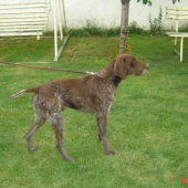 Remo z Potôňskej Luky