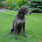 Olin z Potôňskej Lúky