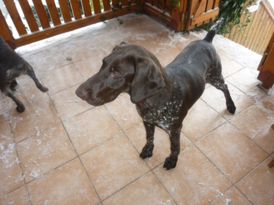 Gina II z Potôňskej Lúky