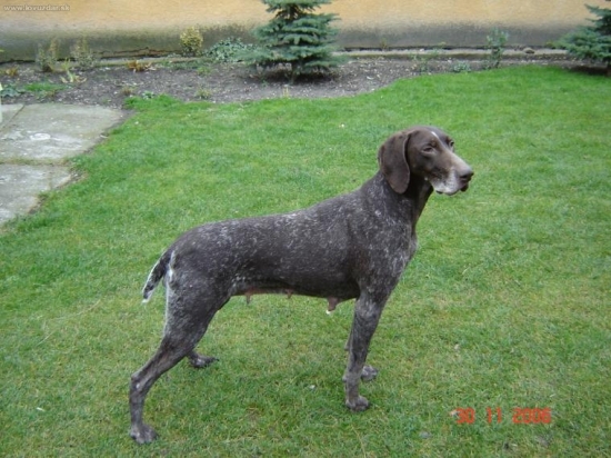 Jáva z potôňskej Lúky