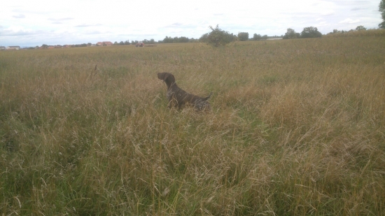 Gina II z Potôňskej Lúky