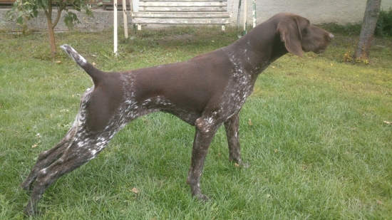 Gina II z Potôňskej Lúky