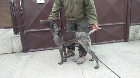 Karla z Potôňskej Lúky