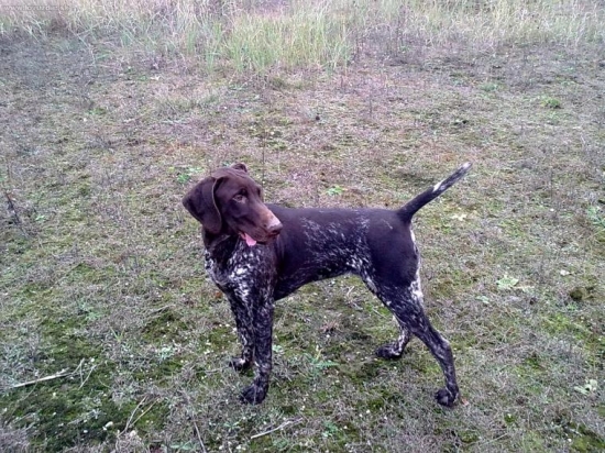 Zora z Potoňskej lúky