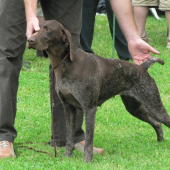 Penge z Potôňskej Lúky