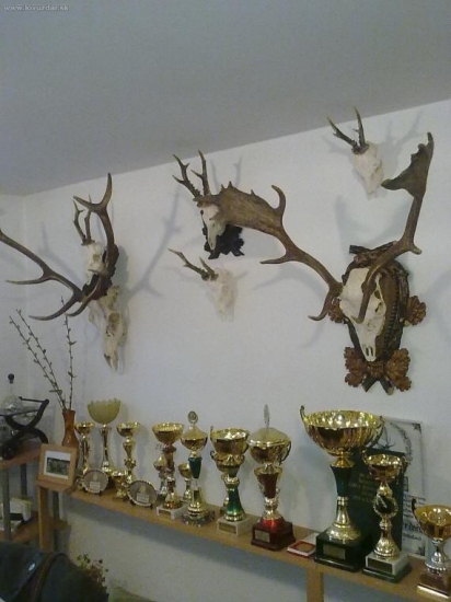 Moje zbierka