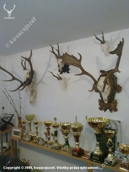 Moje zbierka