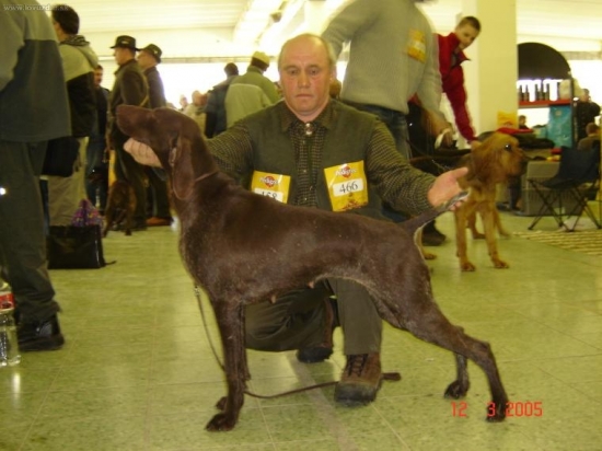 Luči z Potôňskej Lúky