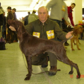 Luči z Potôňskej Lúky