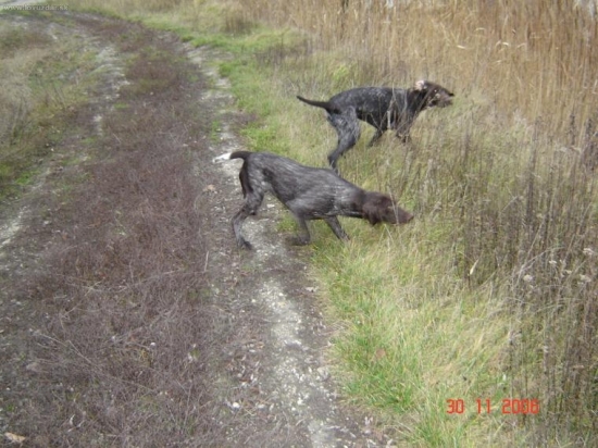 Olin a Orka z Potôňskej Lúky