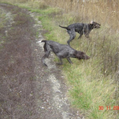 Olin a Orka z Potôňskej Lúky