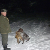 úspešná dohladávka