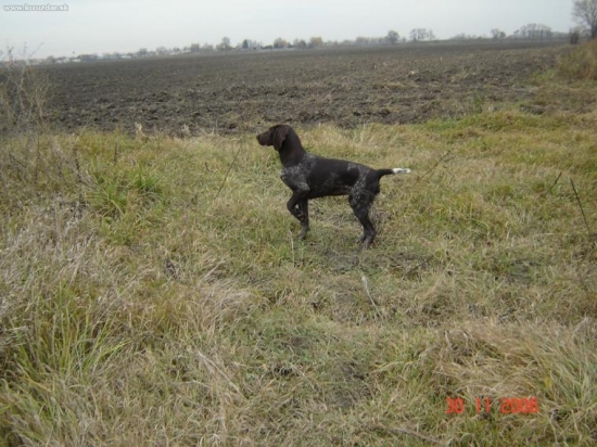 Orka z Potôňskej Lúky