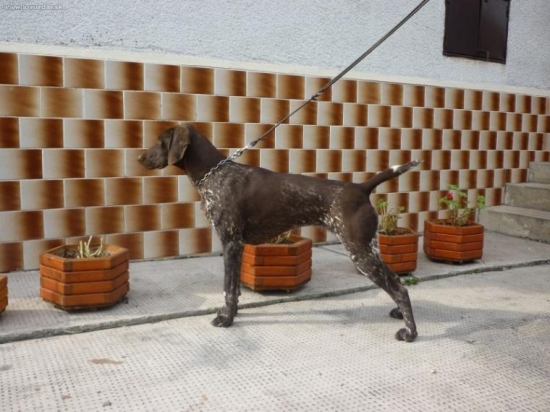 Zora z Potôňskej Lúky 10, mes.