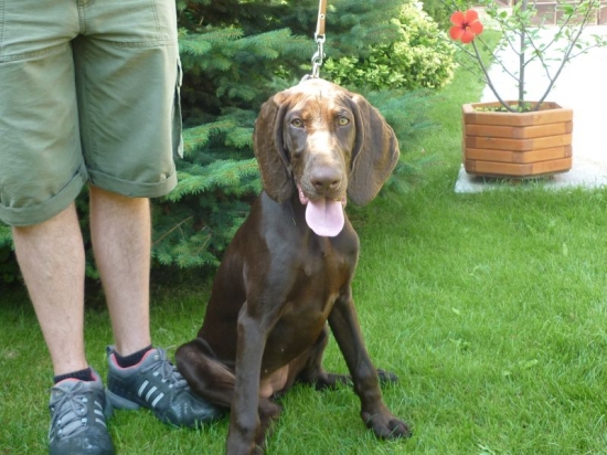 NKS z Potôňskej Lúky