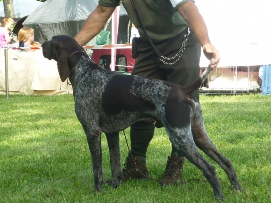 NKS z Potôňskej Lúky