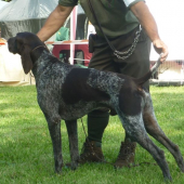 NKS z Potôňskej Lúky