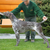 Jorbaháti-Nimród Dicsö